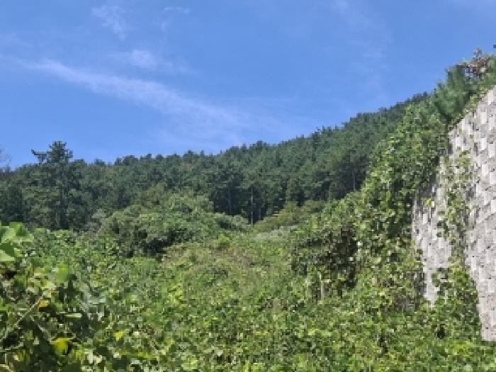 2025타경869 임야 · 경상남도 남해군 창선면