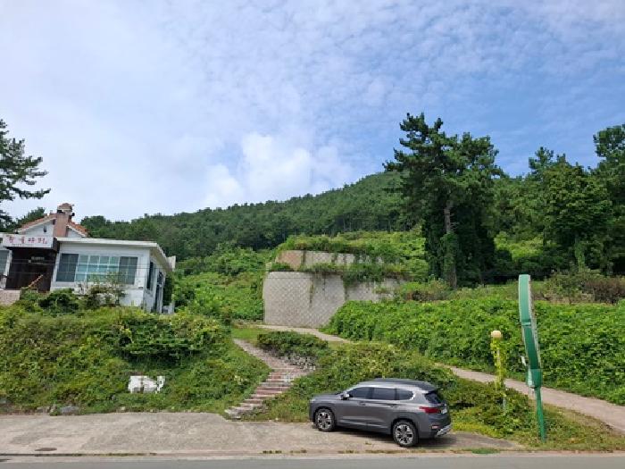 2025타경870 임야 · 경상남도 남해군 창선면 대벽리 산57-12