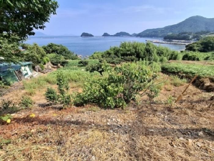 2025타경881 대지 · 경상남도 남해군 미조면