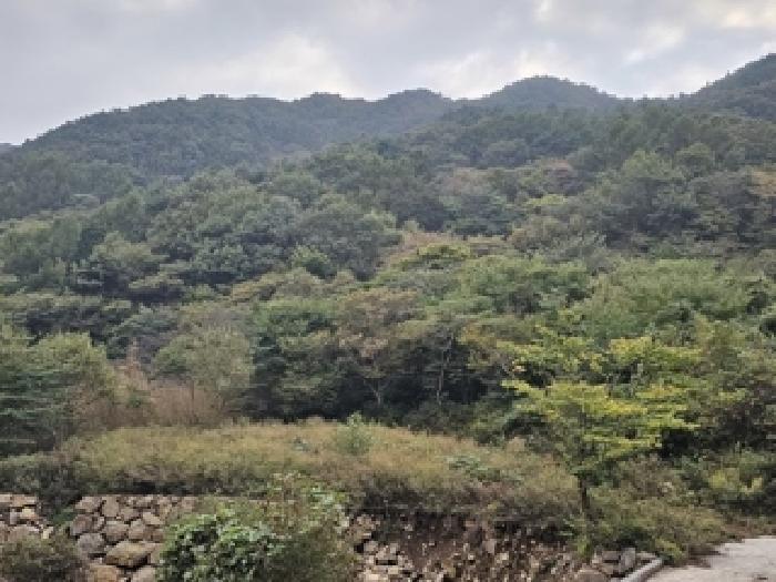 2025타경890 · 경상남도 하동군 화개면