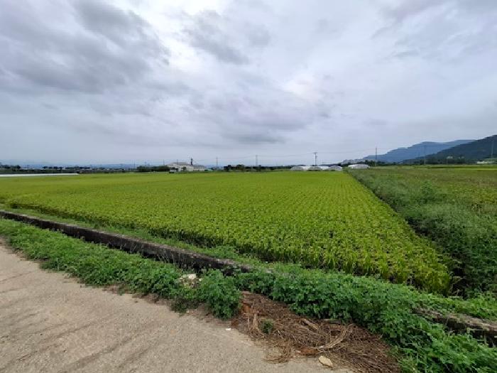 2025타경896 대지 · 경상남도 사천시 용현면