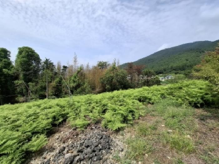 2025타경906 임야 · 경상남도 남해군 창선면 지족리 산201-3