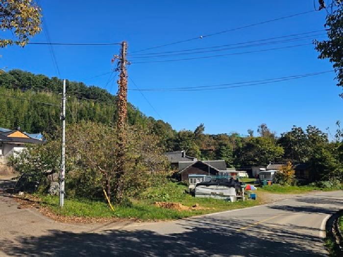 2025타경907 대지 · 경상남도 하동군 청암면 묵계리 1424-1
