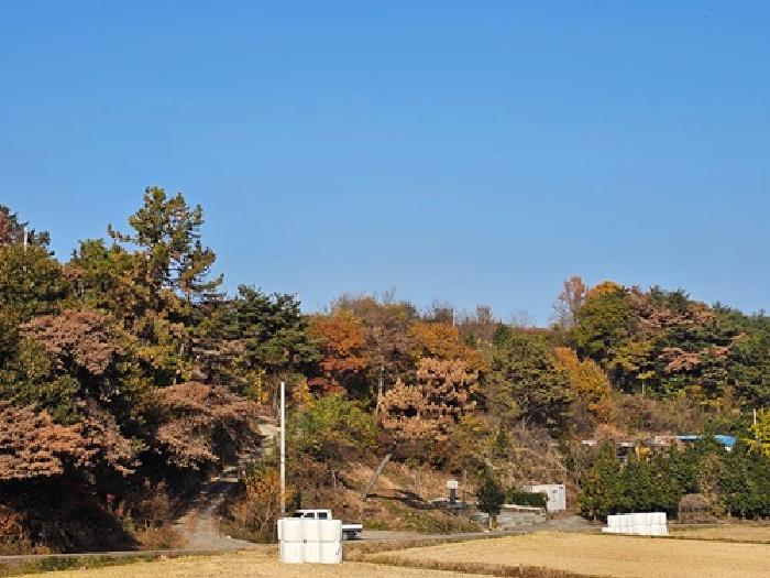 2025타경911 임야 · 경상남도 하동군 진교면 양포리 산76-3