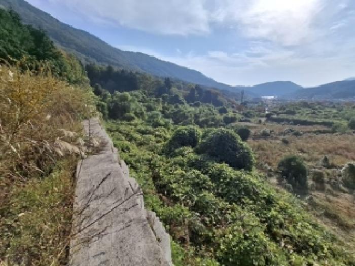 2025타경981 대지 · 경상남도 사천시 와룡동