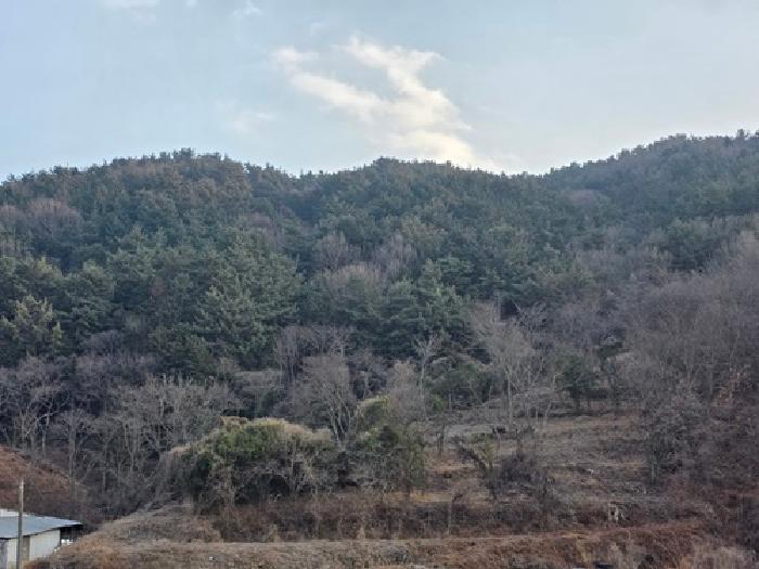 2026타경10015 임야 · 경상남도 남해군 이동면 다정리 산10
