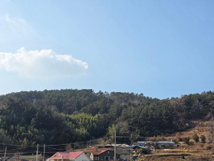 2026타경10036 전답 · 경상남도 남해군 설천면