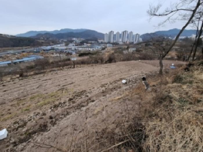 2026타경10061 전답 · 경상남도 진주시 문산읍