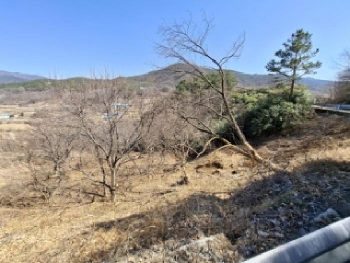2026타경10138 임야 · 경상남도 산청군 차황면 부리 산79-13
