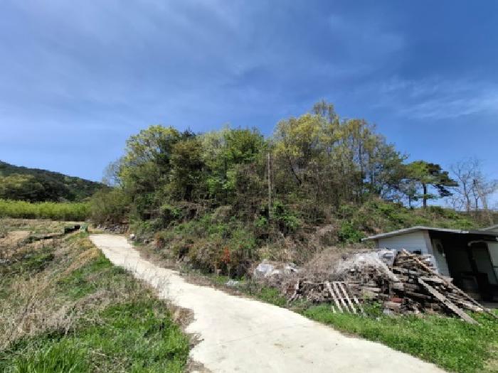 2026타경10185 임야 · 경상남도 산청군 차황면 실매리 산75-3