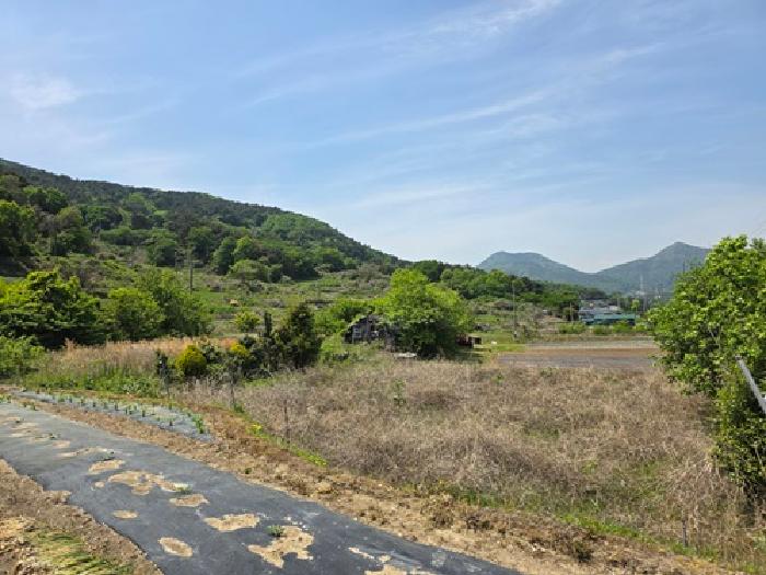 2026타경10247 · 경상남도 남해군 설천면 문의리 1140-1