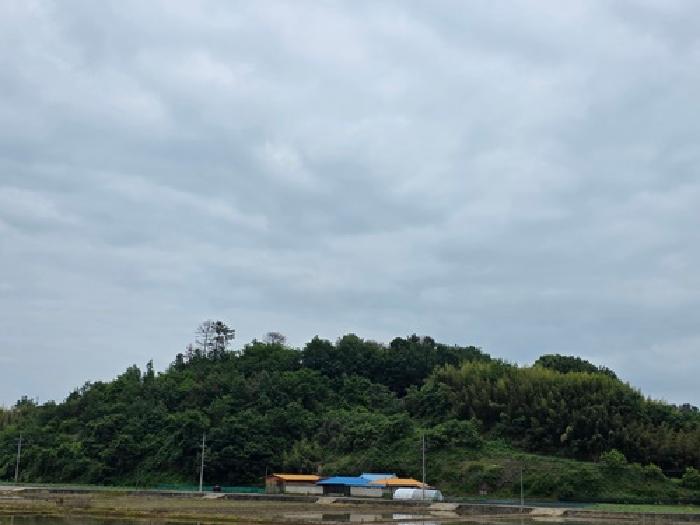 2026타경10253 토지 · 경상남도 사천시 서포면 다평리 874-5