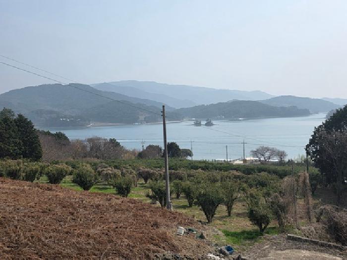 2026타경113 · 경상남도 남해군 창선면 지족리 536