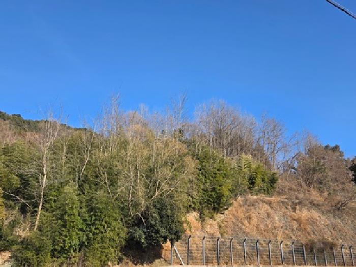 2026타경12 임야 · 경상남도 사천시 이홀동 산89