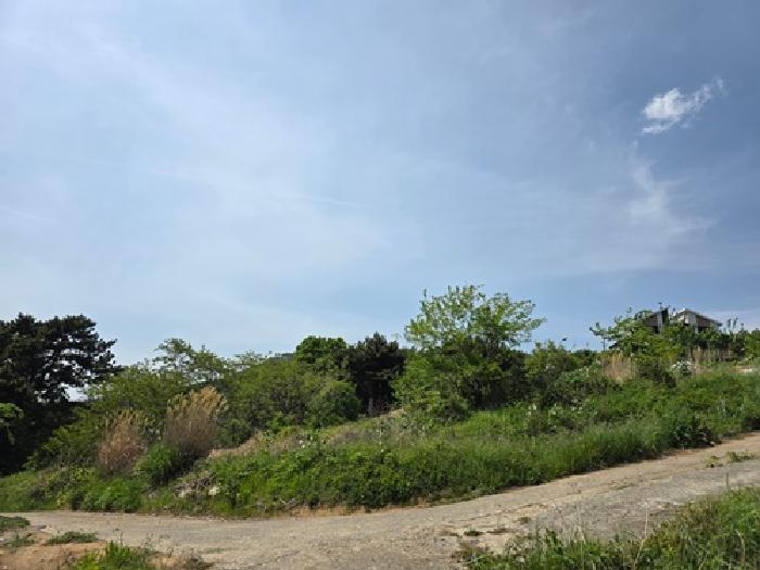 2026타경126 · 경상남도 남해군 설천면 진목리 112-9