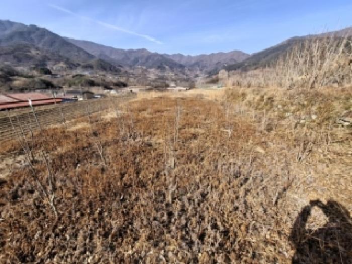 2026타경21 전답 · 경상남도 하동군 악양면 중대리 659