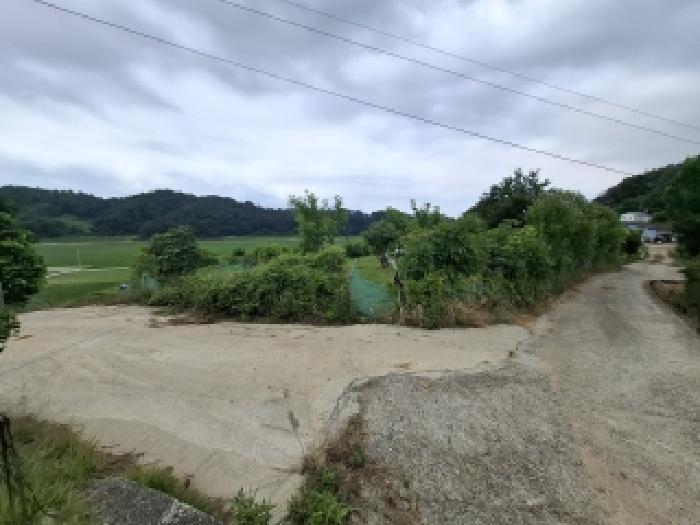 2026타경228 임야 · 경상남도 하동군 금성면 가덕리 산187-6