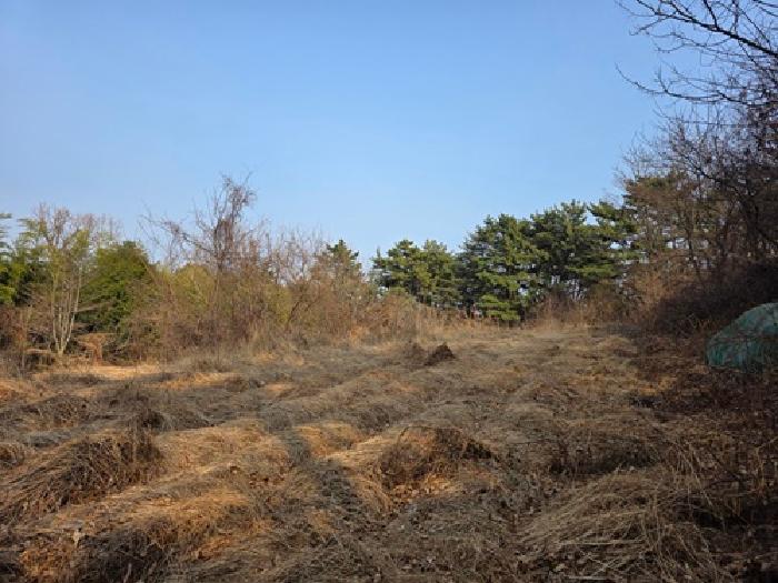 2026타경37 토지 · 경상남도 남해군 고현면 도마리 1796-4