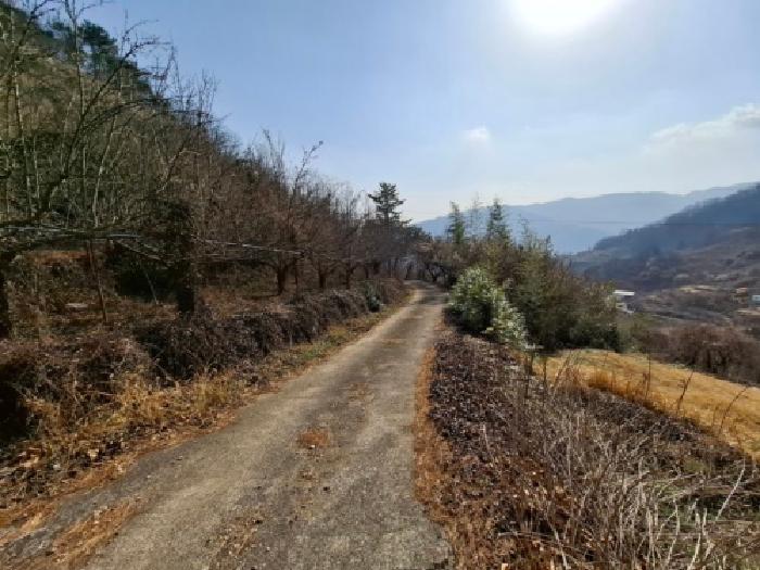 2026타경63 임야 · 경상남도 하동군 하동읍 화심리 513