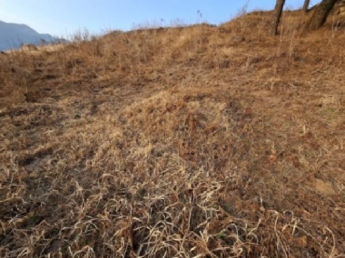 2026타경64 임야 · 경상남도 하동군 악양면 중대리 산95-3
