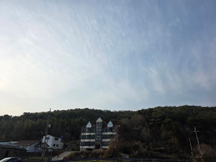 2026타경68 임야 · 경상남도 남해군 상주면 상주리 산226-1