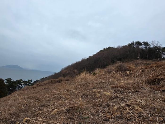 2026타경7 임야 · 경상남도 남해군 삼동면 물건리 산133-3