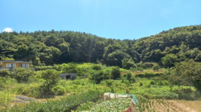 2024타경27761 전답 · 경상남도 거제시 동부면