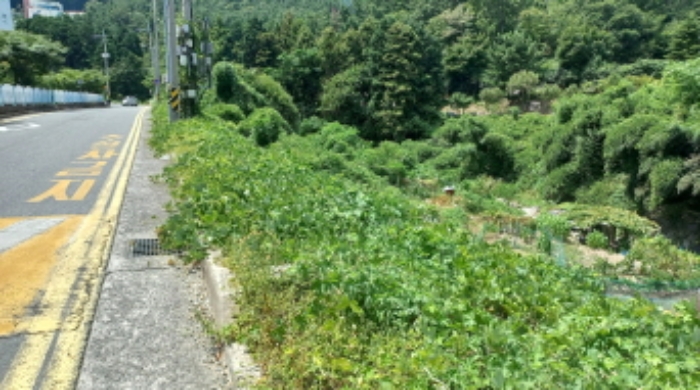 2024타경27891 임야 · 경상남도 거제시 아주동