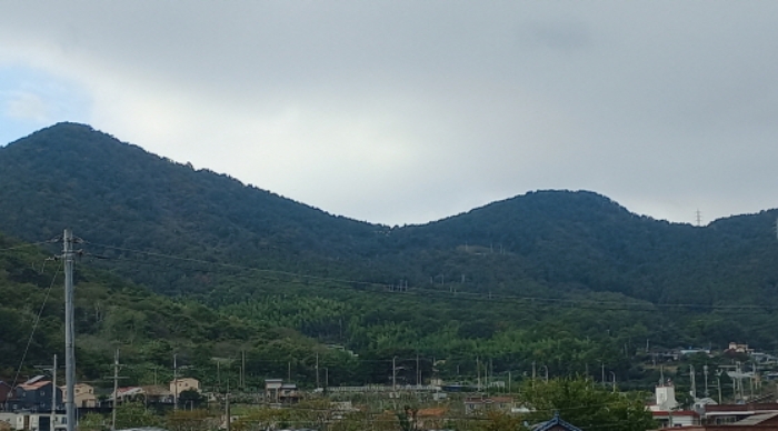 2024타경30996 임야 · 경상남도 거제시 거제면 옥산리 산58-5