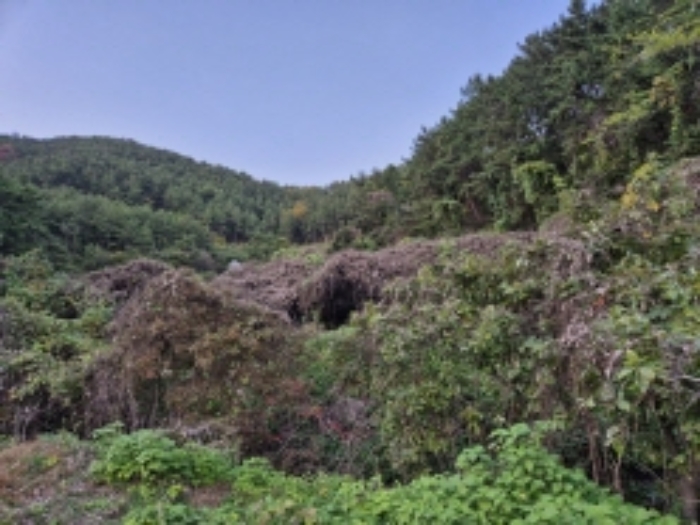 2024타경31302 · 경상남도 고성군 하이면 덕명리 570