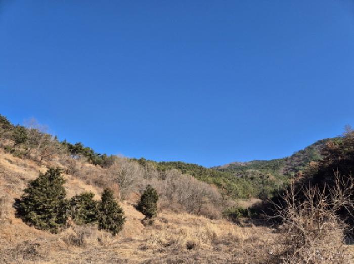 2025타경20064 전답 · 경상남도 고성군 하일면