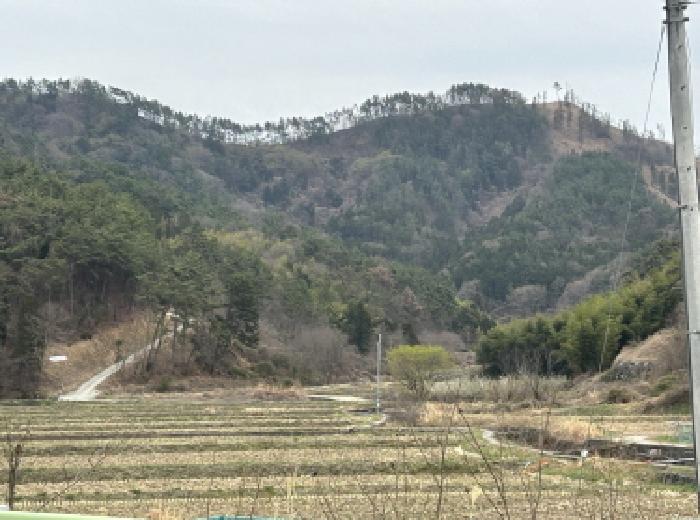 2025타경21133 임야 · 경상남도 거제시 장목면