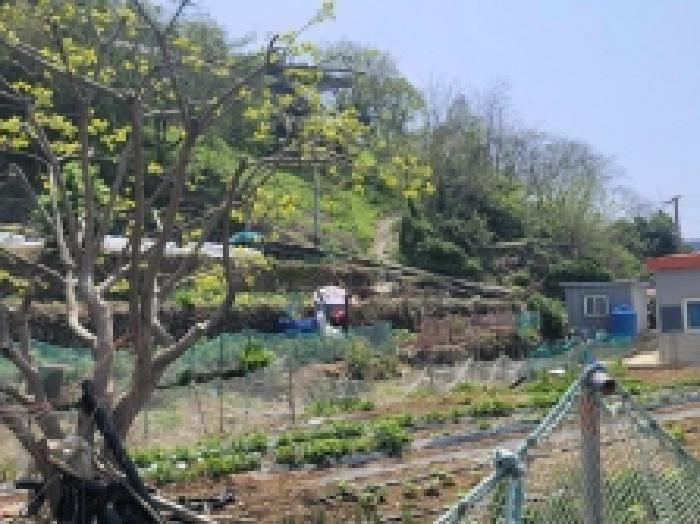 2025타경21149 전답 · 경상남도 통영시 산양읍