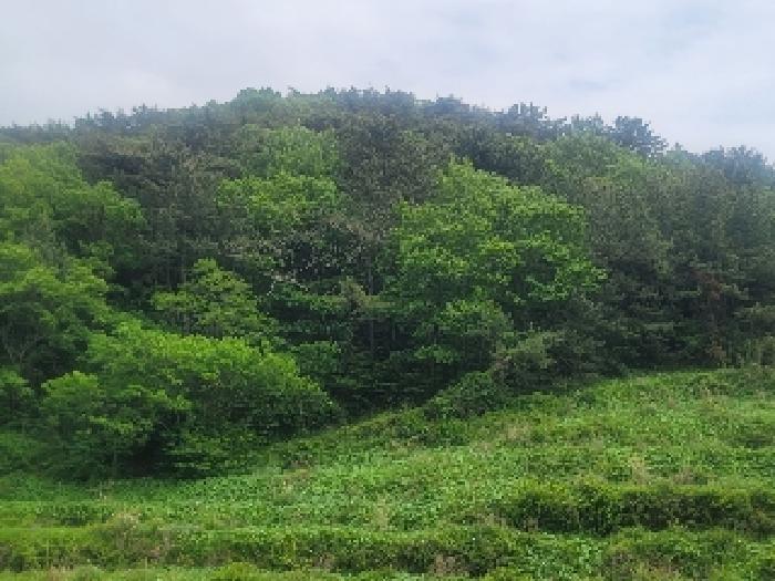 2025타경21263 대지 · 경상남도 통영시 산양읍