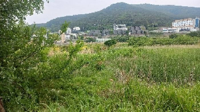 2025타경21430 전답 · 경상남도 거제시 일운면