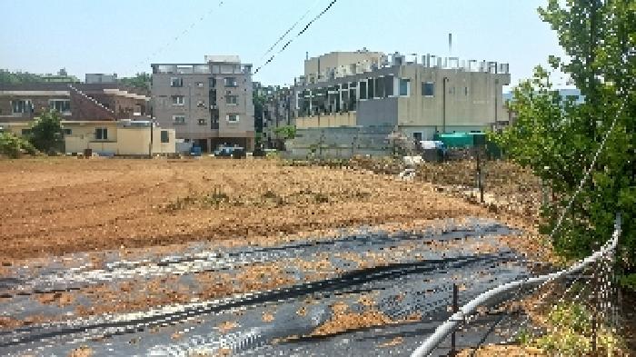 2025타경21439 · 경상남도 거제시 연초면 한내리 66