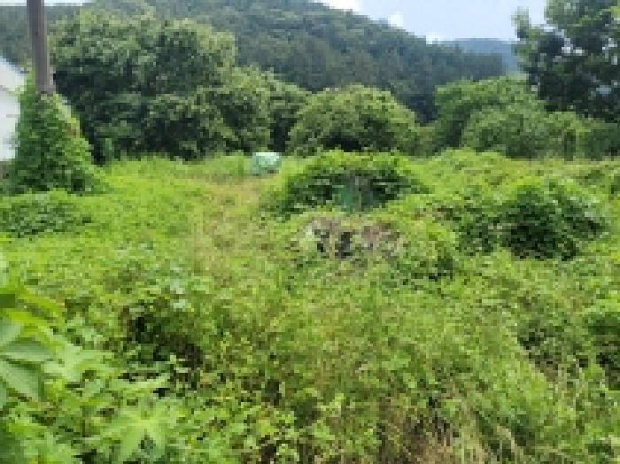 2025타경21479 전답 · 경상남도 통영시 광도면 죽림리 1159