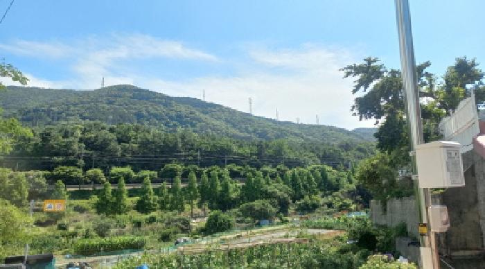 2025타경21529 임야 · 경상남도 거제시 장평동 산83-12