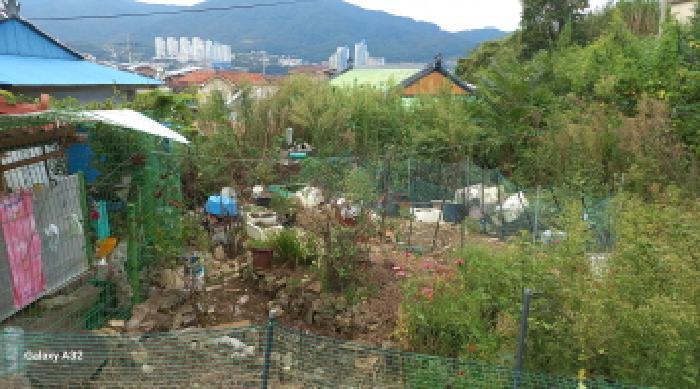 2025타경21910 대지 · 경상남도 거제시 일운면 지세포리 440