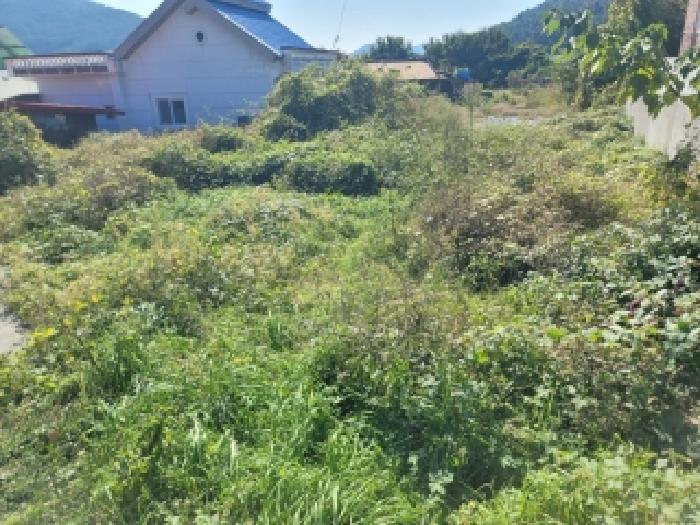2025타경21919 대지 · 경상남도 거제시 둔덕면