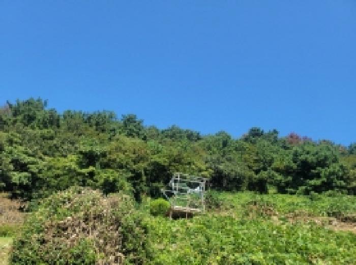 2025타경22000 임야 · 경상남도 통영시 산양읍 풍화리 산41-1