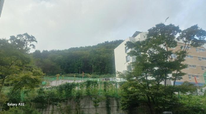 2025타경22048 임야 · 경상남도 거제시 아주동 산32