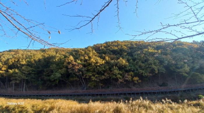2025타경22136 임야 · 경상남도 거제시 상동동 산5-2
