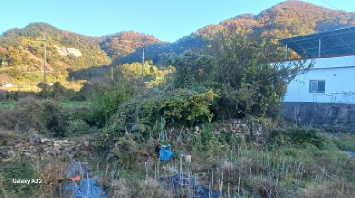 2025타경22192 전답 · 경상남도 거제시 장목면 구영리 248