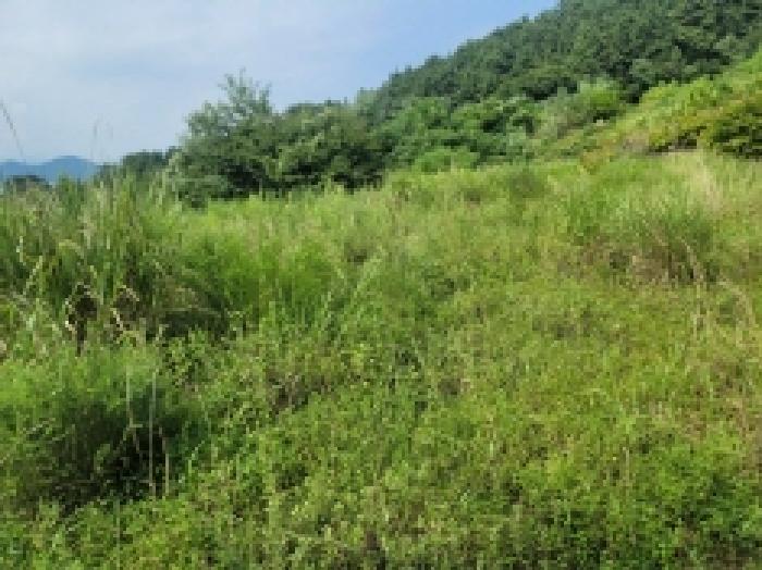 2025타경546 대지 · 경상남도 거제시 사등면