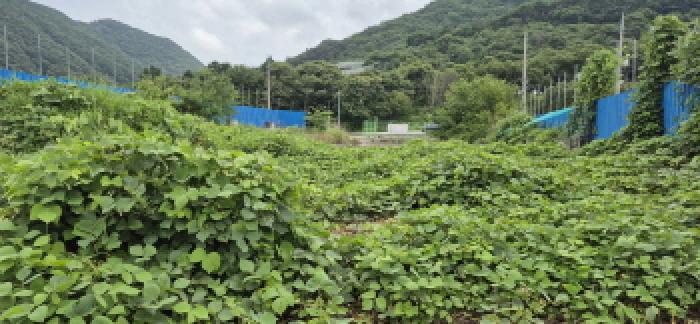 2025타경554 · 경상남도 고성군 마암면 신리 404-1