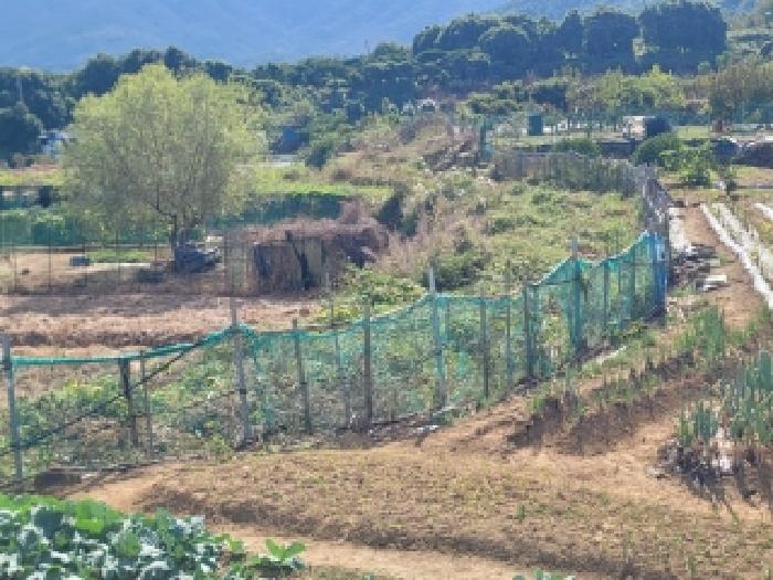 2025타경609 전답 · 경상남도 거제시 사등면