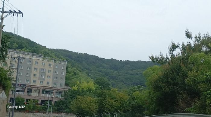 2025타경619 임야 · 경상남도 거제시 장평동 산179