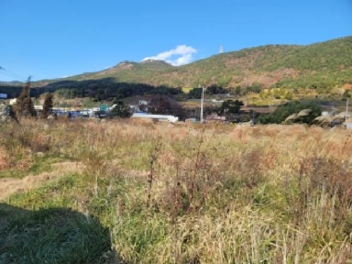 2025타경677 토지 · 경상남도 통영시 산양읍 신전리 324-7