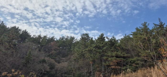 2025타경692 임야 · 경상남도 고성군 하이면 덕명리 산166